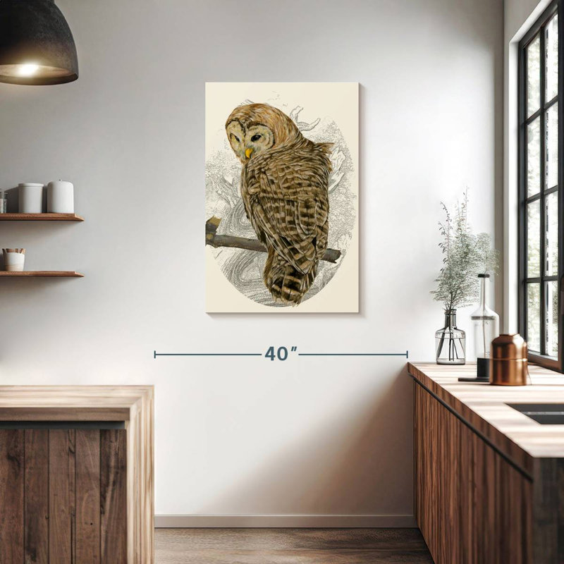 Brampt Barred Owl II, 36" H x 24" W