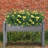Darral Outdoor Elevated Wooden Planter Box-428720076-408982194