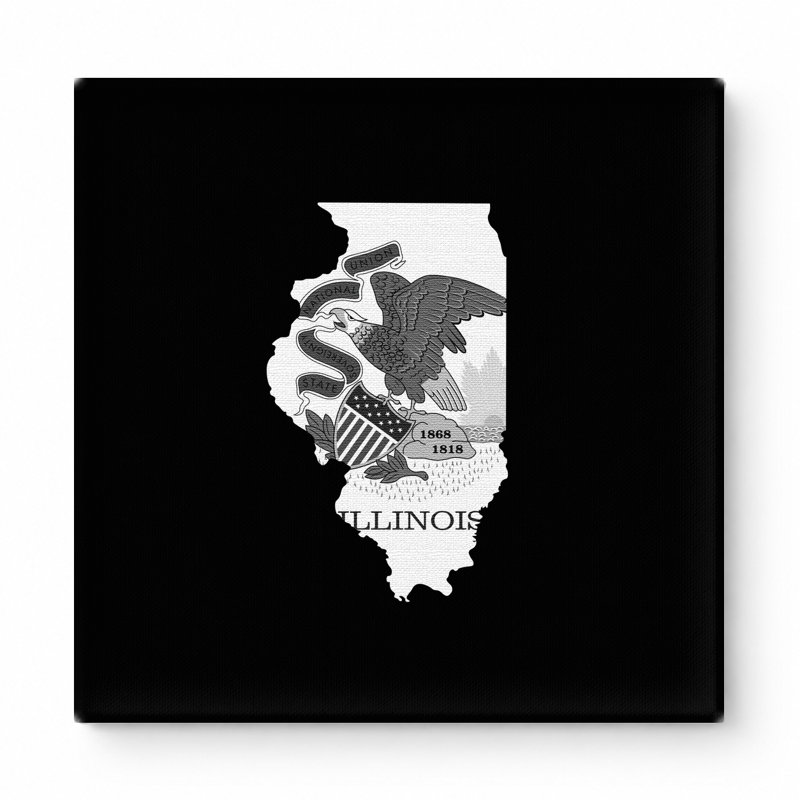 Illinois State Map - Art mural sur toile carrée, 12" W x 12" H