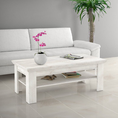 Aleisha Coffee Table with Storage