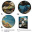 Tranquillo, art asiatique, Bonsaïs, sagesse - impression-872660307-872660306