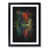 Black Framed