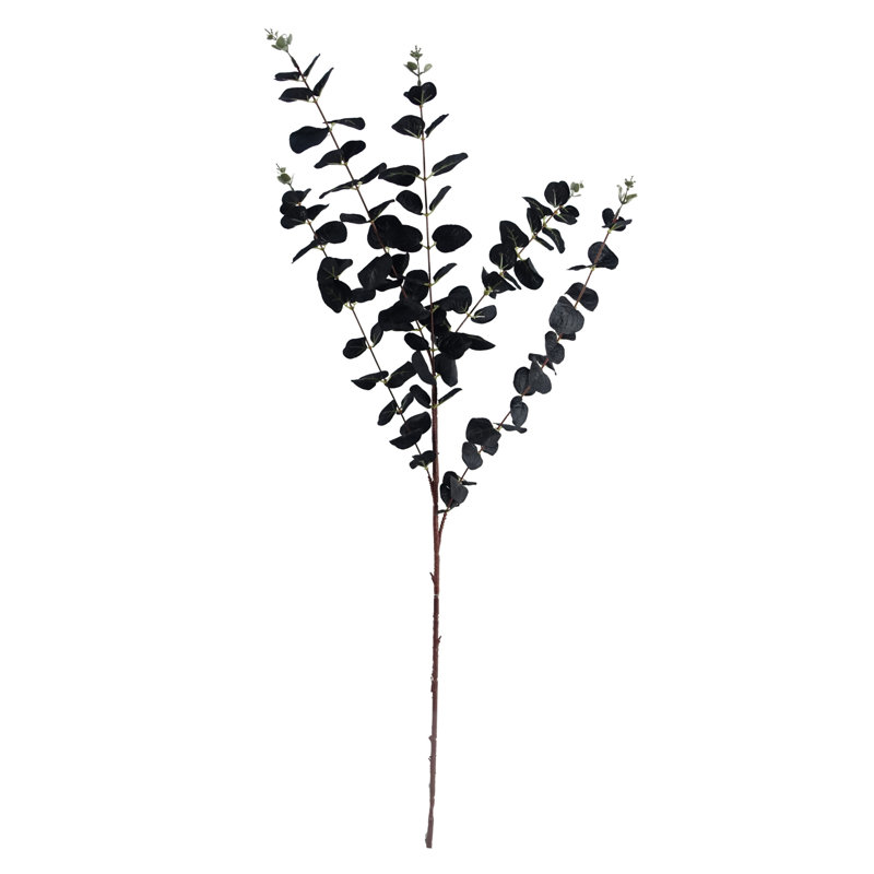 Andarius Arrangement
