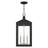 Inniss 3 - Light Outdoor Hanging Lights-24100151-34439996