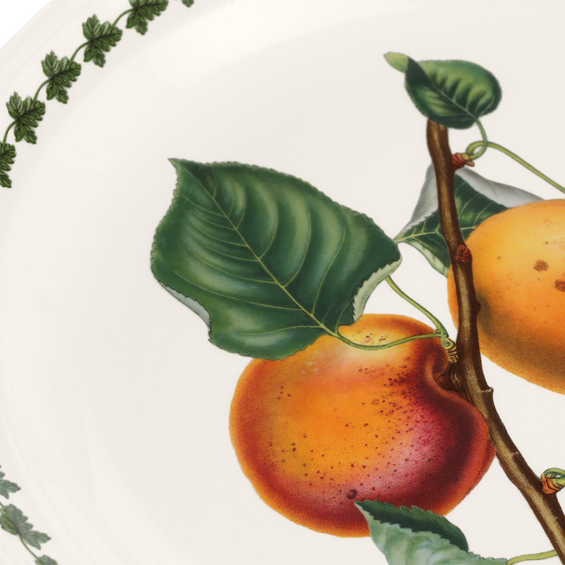 Pomona 6 Piece Dinner Plates Set