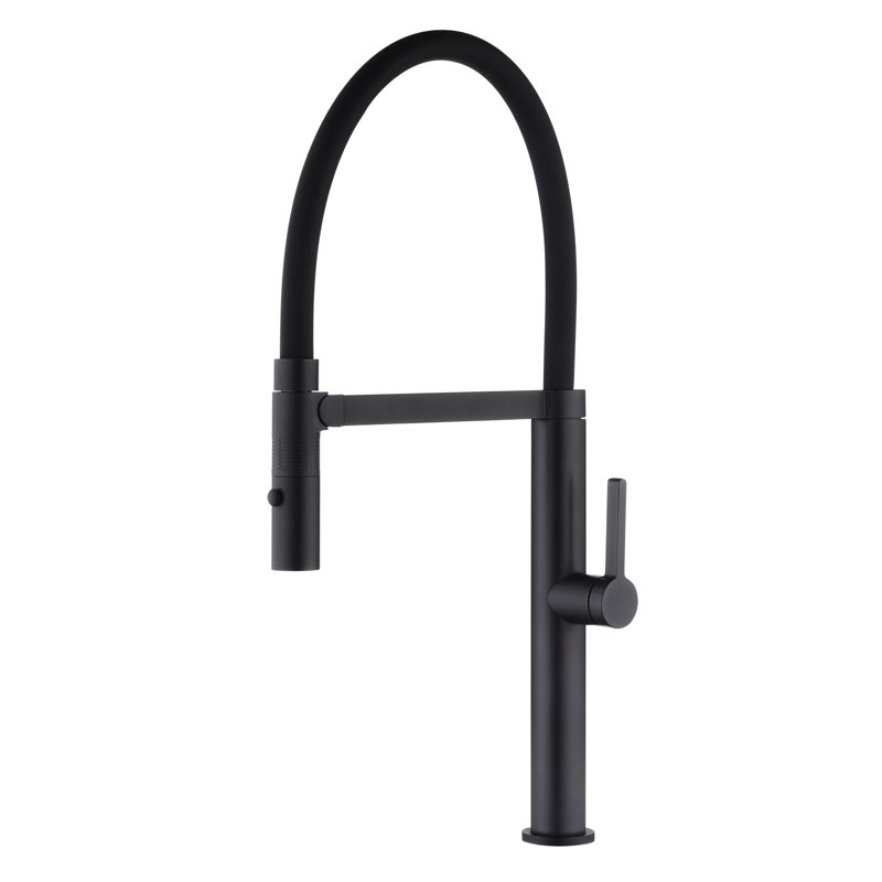 DAX Kitchen Faucet, Black
