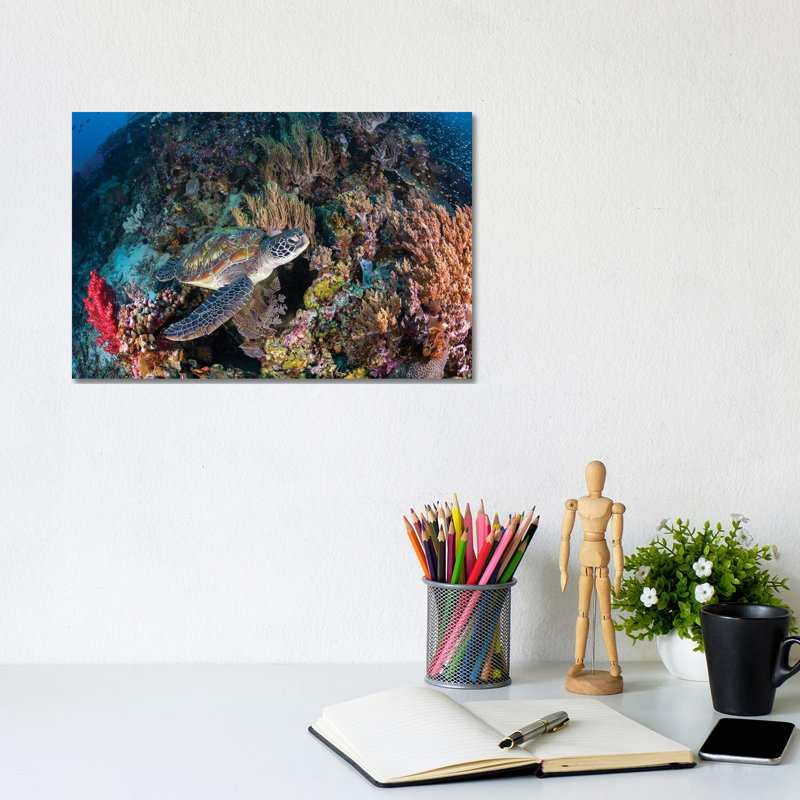 Coral Garden And Green Turtle by Barathieu Gabriel - Wrapped Canvas Print, 20.32 cm H x 30.48 cm W