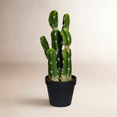 14'' Faux Succulent in Pot