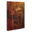 Trees Of Autumn - Wrapped Canvas-56664772