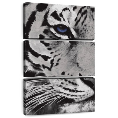 Brampt Tiger Purple Eye I