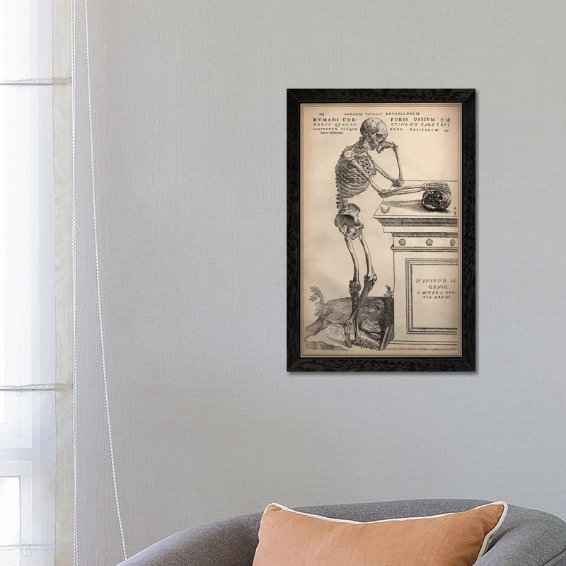 De Humani Corporis Fabrica Skeleton Standing by Vesalius - Print on Canvas, 66.04 cm H x 45.72 cm W, Black Framed