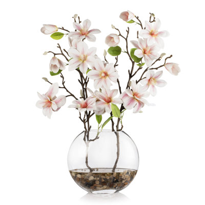 Arrangement de fleurs de magnolia réel dans un vase en verre avec de l'eau artificielle (rose crème)