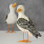 Ensemble de 2 figurines St Judes Sea Gull