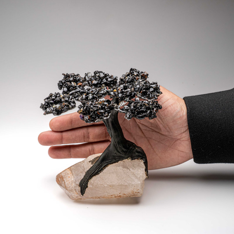 Black Tourmaline Clustered Gemstone Tree On Quartz Point Matrix (The Cleansing Tree) 5"