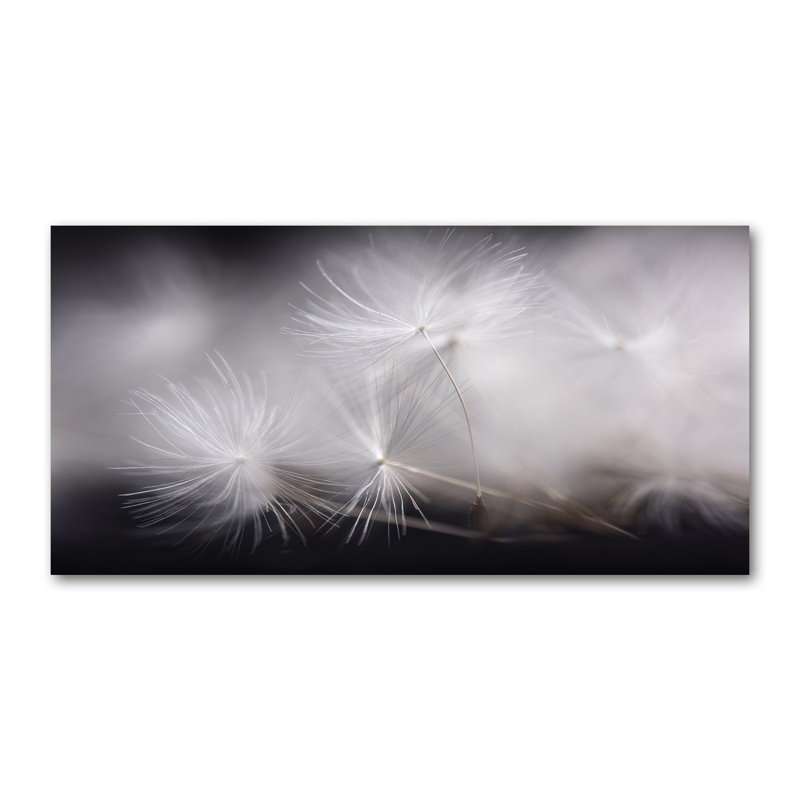 Dandelion Seeds - Wrapped Canvas Print