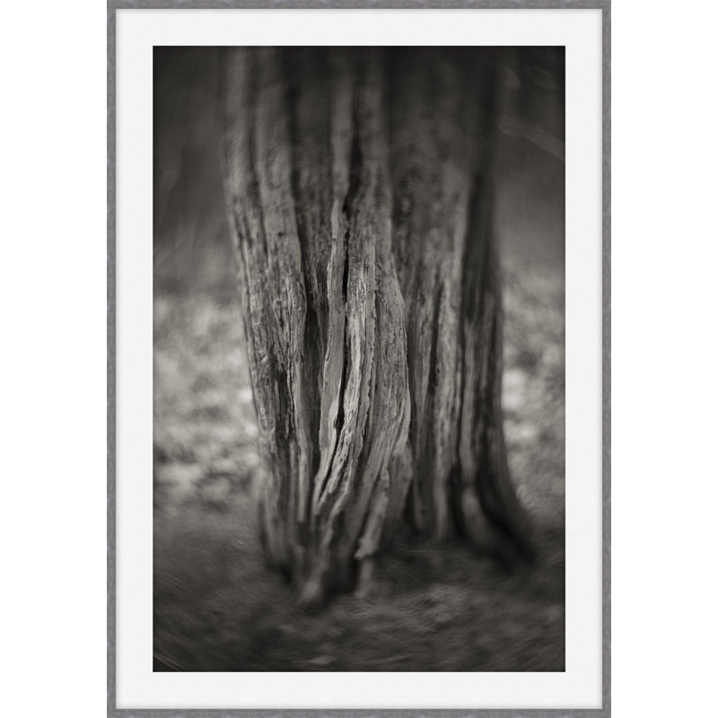 My Kingdom 2 Print by Ralph Mercer, 40.54" H x 29.54" W