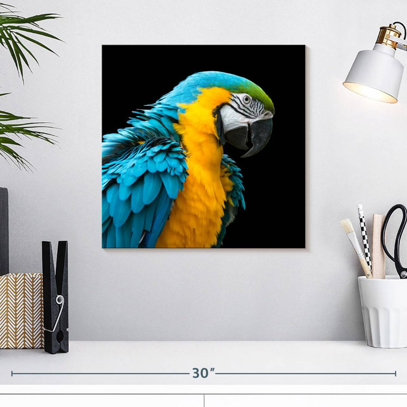 Crowle Charming Macaw, 16" H x 16" W