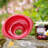 Westmark Plastic Funnel
