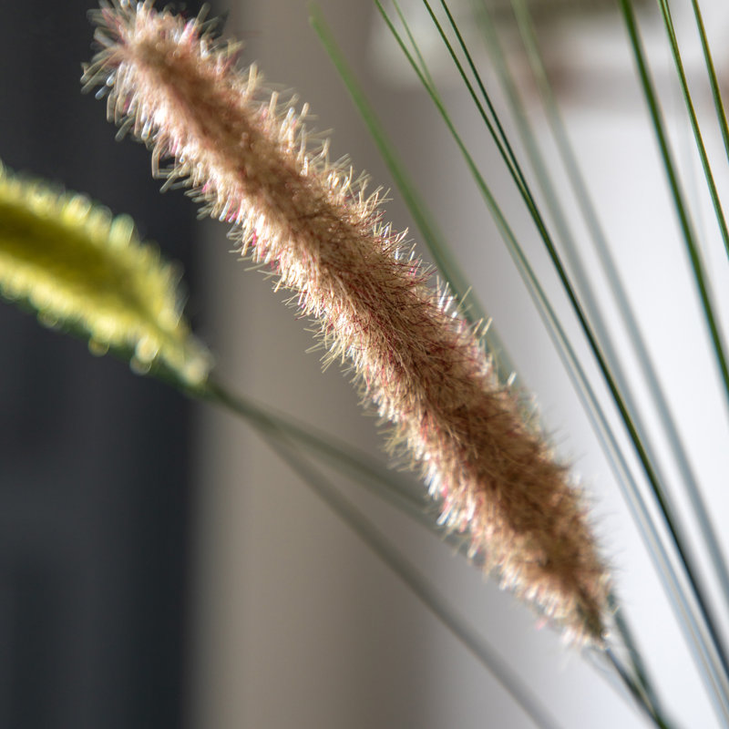 Arrangement, Beige