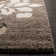 Caniesha Shag Performance Floral Rug