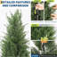 Plant-273084742