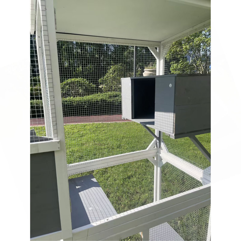 Cage de jeu d'extérieur pour chat