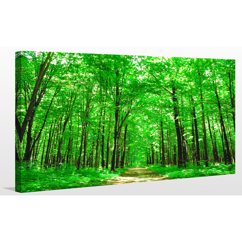« brillante summer forest ii », reproduction de photo sur toile tendue, H 18 po x l 30 po x P 1 po