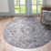 Ameire Oriental Indoor Rug