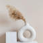 Plante grimpante 17 po Atalaya-1329839829-1329839828