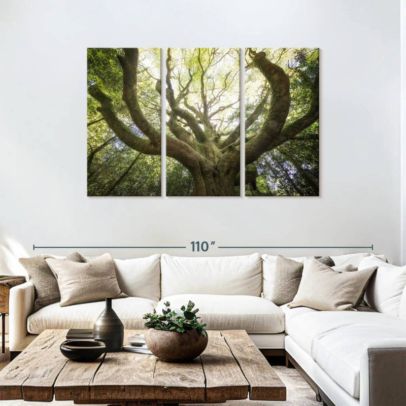 Harnek The Old Octopus Beech, 48" H x 74" W