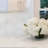 Elysian 10 x 10 Dolomite, Calacatta Marble Honed Warm White Mosaic Tile (3.54 Sq Ft/Case) - 5 Pack