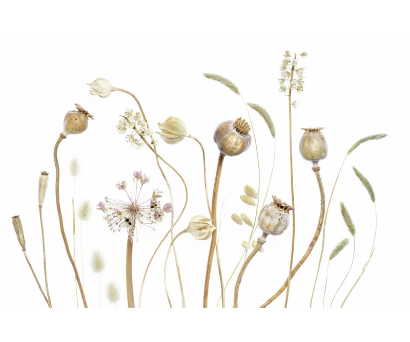 Wrapped Canvas Print, 50.8 cm H x 76.2 cm W
