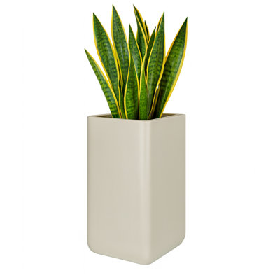 Pot à fleurs Kute Nest Elio Zen Colerst - humeur éthérée - H 19,5 po