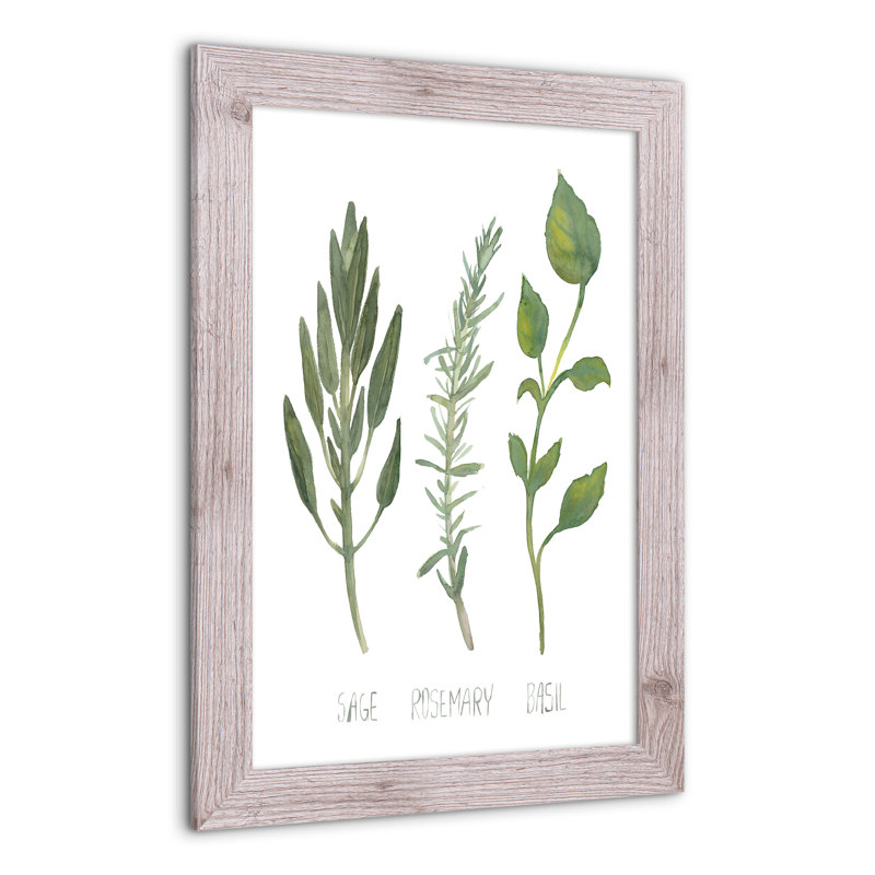 Herbes, reproduction encadrée, H 24 po x l 16 po x P 0,75 po