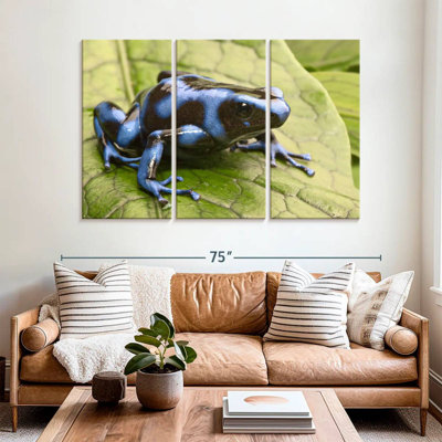 Brampt Panama Blue Poison Dart Frog