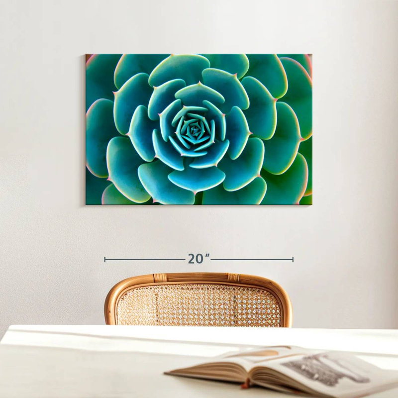 «Live Succulent», reproduction sur toile, H 16 po x l 24 po x P 1,25 po