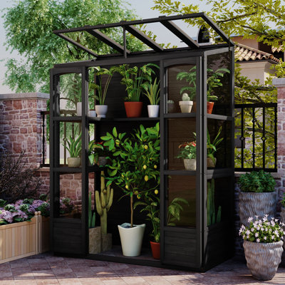 Structure froide en bois 78 pouces avec 4 lanterneaux indépendants et 2 tablettes centrales pliantes pour l'extérieur, Greenhouse