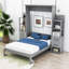 Murphy Bed Wall Bed with Shelves, Drawers and LED Lights-123407981-96227677