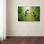 «Wake Up Call Hummingbirds» de Vidur, impression sur toile tendue-22072215