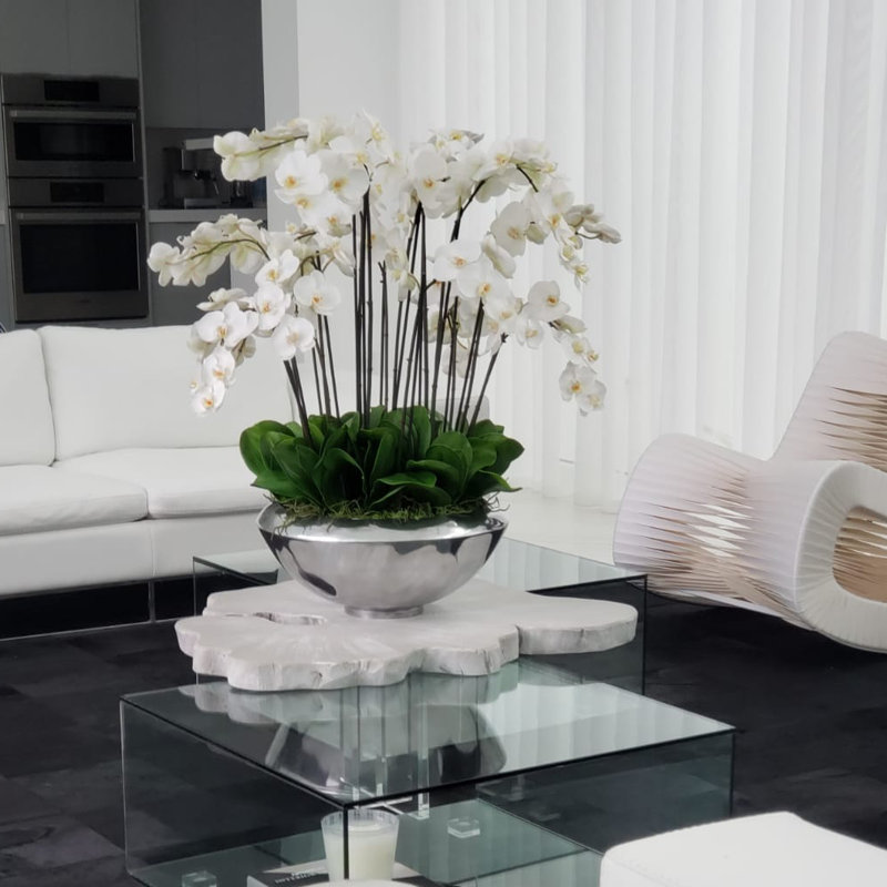 Multiple Stems of Phaleanopsis Orchids Centerpiece in Planter, White