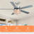 52" Crystal Ceiling Fan with Lights-1519667945