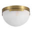 Eddie 1 - Light Flush Mount-692417530