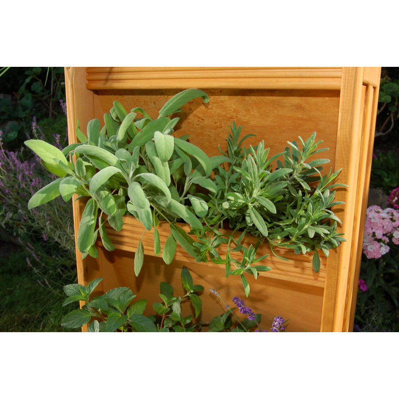Wood Vertical Garden