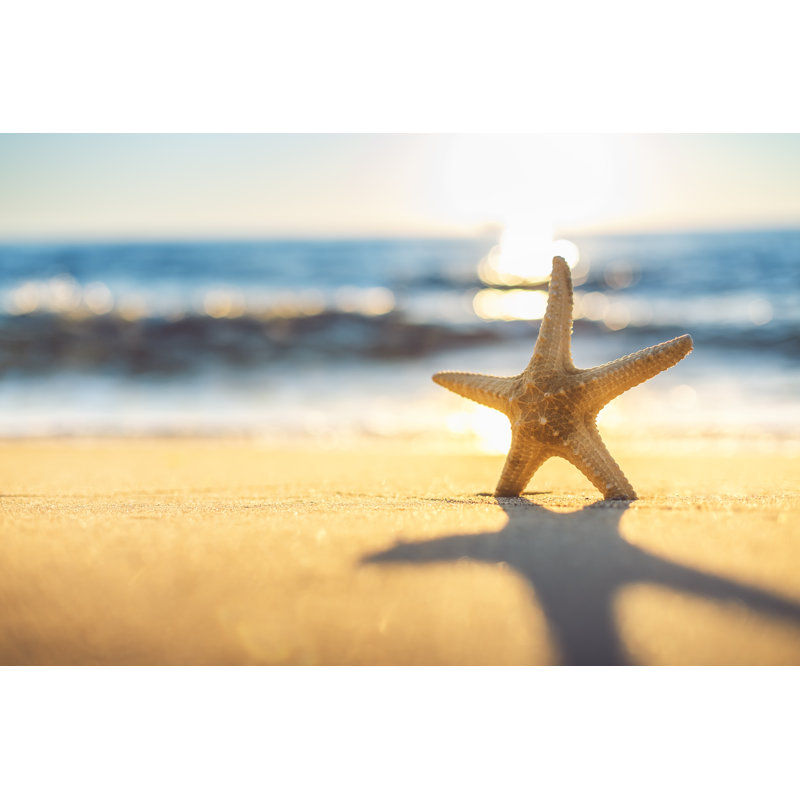 Starfish On The Beach At Sunrise by Valio84Sl - Wrapped Canvas Print, 51cm H x 76cm W x 3.8cm D