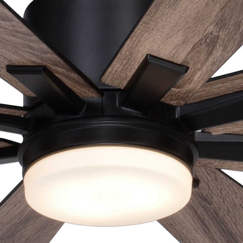 Olney 60'' Ceiling Fan with LED Lights, Black
