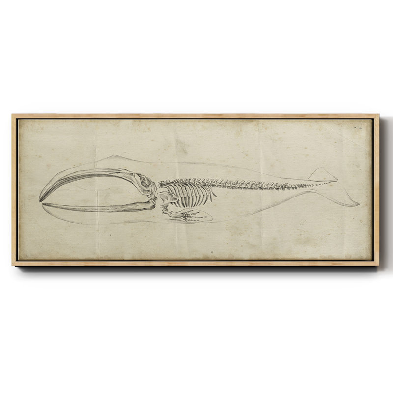 " Whale Study I ", Natural, 8" H x 20" W x 1.5" D