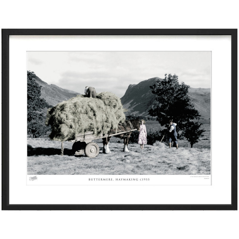 Buttermere, Haymaking C1955 by Francis Frith - Single Picture Frame Print, 45cm H x 60cm W x 2.3cm D