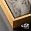 Oiseau, oiseau, bicolore, hibou-94585953-94585950