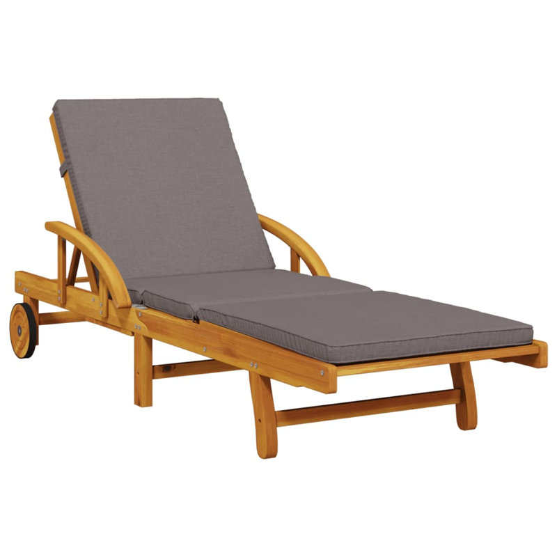 Ensemble de 2 chaises longues vidaXL en bois d'acacia massif brun et gris foncé vidaXL, Gris foncé