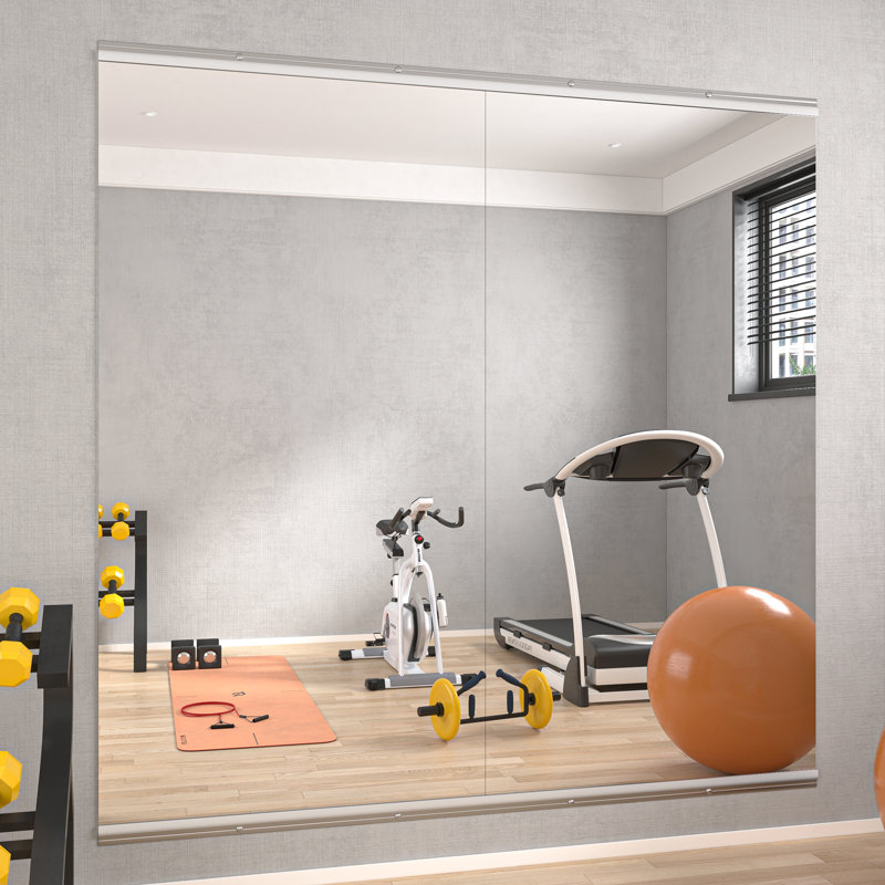 Full Length Rectangle Wall Mirror Home Gym Mirror Dance Studio Mirror with Tempered Glass, 47" x 23.5", Sliver